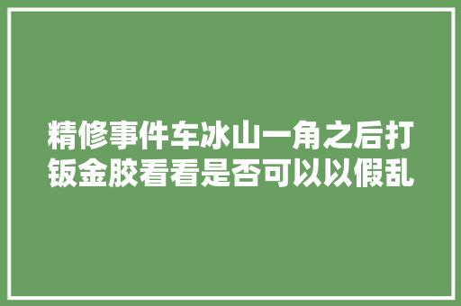 精修事件车冰山一角之后打钣金胶看看是否可以以假乱真