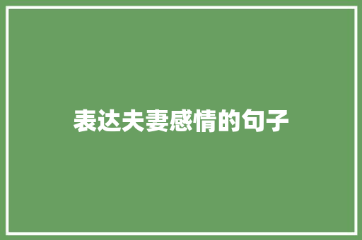 表达夫妻感情的句子