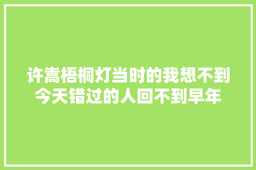 许嵩梧桐灯当时的我想不到今天错过的人回不到早年