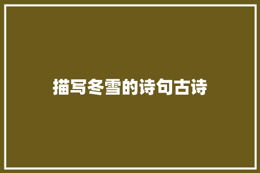 描写冬雪的诗句古诗