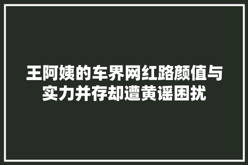 王阿姨的车界网红路颜值与实力并存却遭黄谣困扰