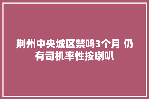 荆州中央城区禁鸣3个月 仍有司机率性按喇叭