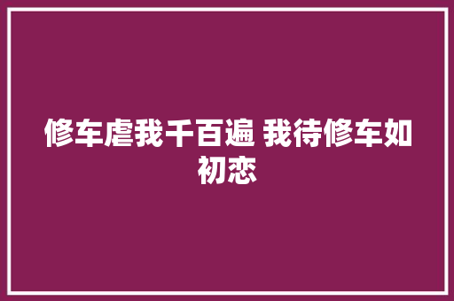 修车虐我千百遍 我待修车如初恋