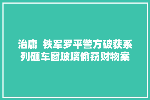 治庸  铁军罗平警方破获系列砸车窗玻璃偷窃财物案