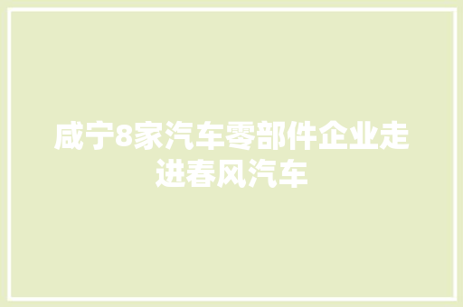 咸宁8家汽车零部件企业走进春风汽车
