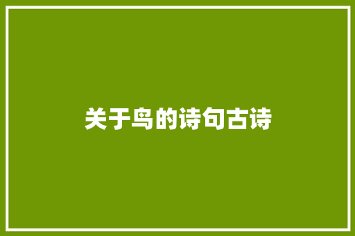 关于鸟的诗句古诗