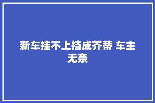 新车挂不上挡成芥蒂 车主无奈