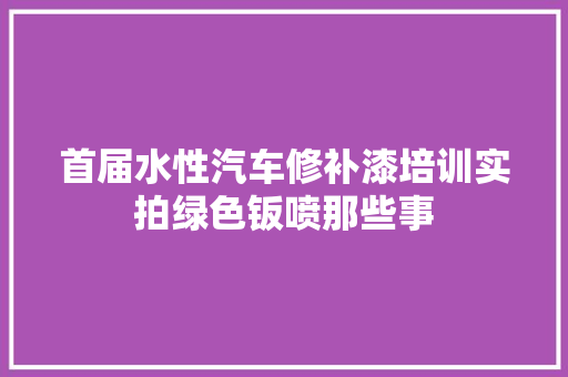 首届水性汽车修补漆培训实拍绿色钣喷那些事
