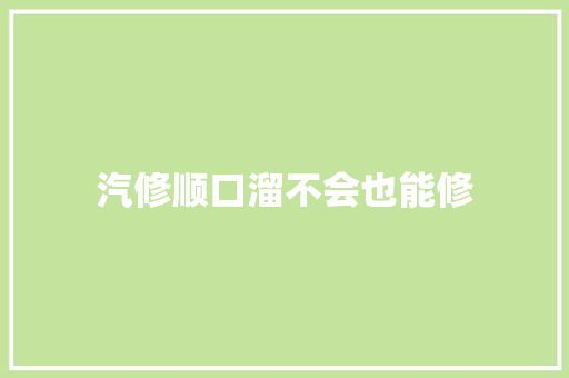 汽修顺口溜不会也能修