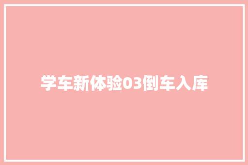 学车新体验03倒车入库