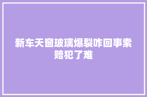 新车天窗玻璃爆裂咋回事索赔犯了难