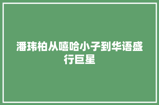 潘玮柏从嘻哈小子到华语盛行巨星