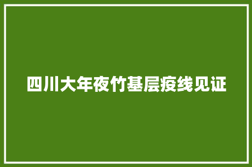 四川大年夜竹基层疫线见证