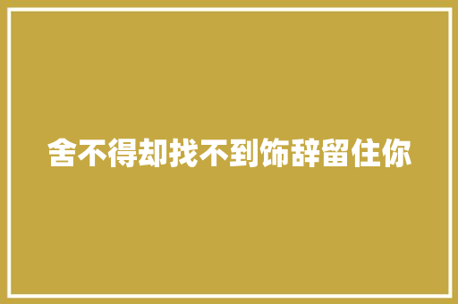 舍不得却找不到饰辞留住你