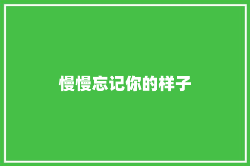 慢慢忘记你的样子