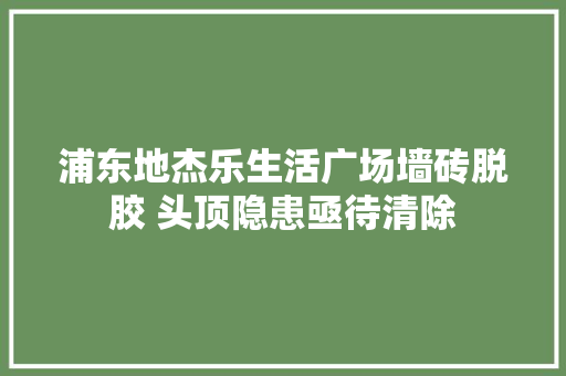 浦东地杰乐生活广场墙砖脱胶 头顶隐患亟待清除