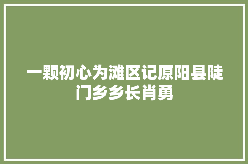 一颗初心为滩区记原阳县陡门乡乡长肖勇