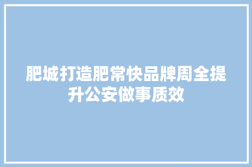 肥城打造肥常快品牌周全提升公安做事质效