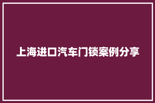 上海进口汽车门锁案例分享