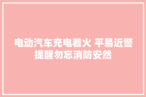 电动汽车充电着火 平易近警提醒勿忘消防安然