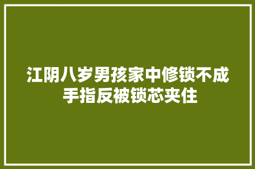 江阴八岁男孩家中修锁不成 手指反被锁芯夹住 汽车知识