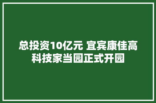 总投资10亿元 宜宾康佳高科技家当园正式开园
