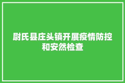 尉氏县庄头镇开展疫情防控和安然检查
