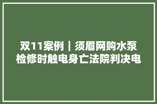 双11案例｜须眉网购水泵检修时触电身亡法院判决电商平台承担连带赔偿责任