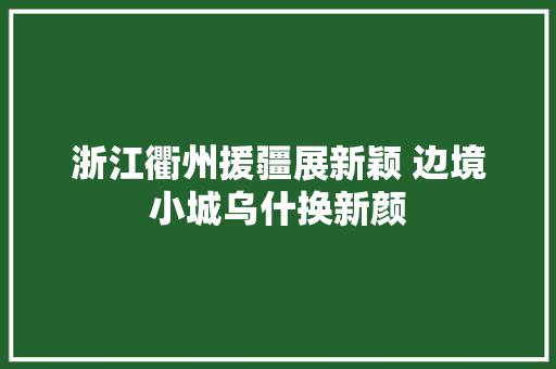 浙江衢州援疆展新颖 边境小城乌什换新颜