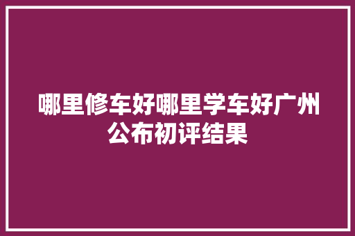 哪里修车好哪里学车好广州公布初评结果