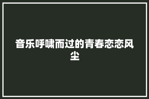 音乐呼啸而过的青春恋恋风尘