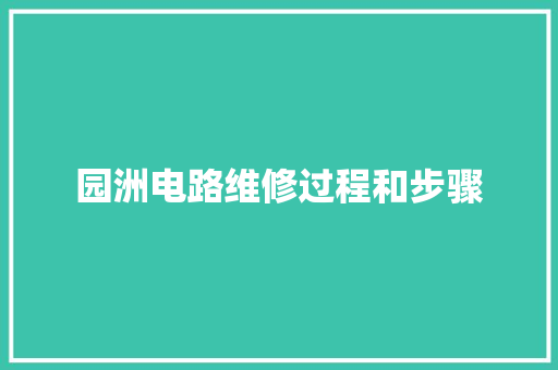 园洲电路维修过程和步骤