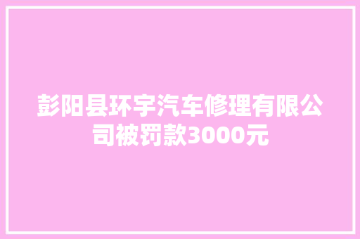 彭阳县环宇汽车修理有限公司被罚款3000元