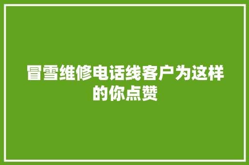 冒雪维修电话线客户为这样的你点赞 汽车知识