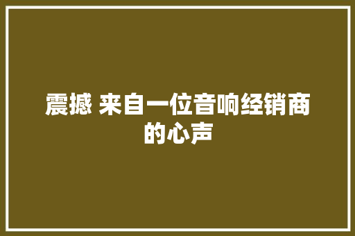 震撼 来自一位音响经销商的心声