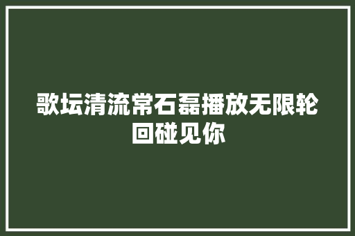 歌坛清流常石磊播放无限轮回碰见你