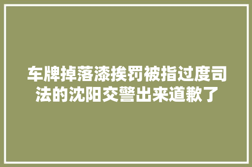 车牌掉落漆挨罚被指过度司法的沈阳交警出来道歉了