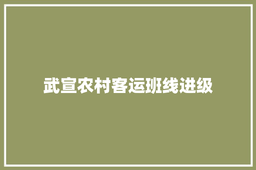 武宣农村客运班线进级