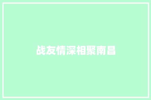 战友情深相聚南昌 汽车知识