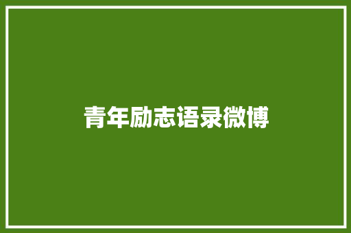 青年励志语录微博