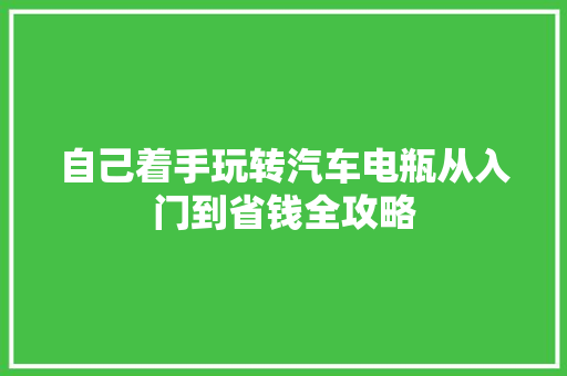 自己着手玩转汽车电瓶从入门到省钱全攻略