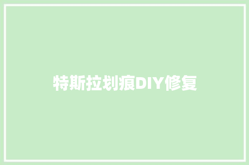 特斯拉划痕DIY修复
