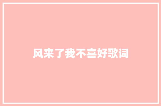 风来了我不喜好歌词