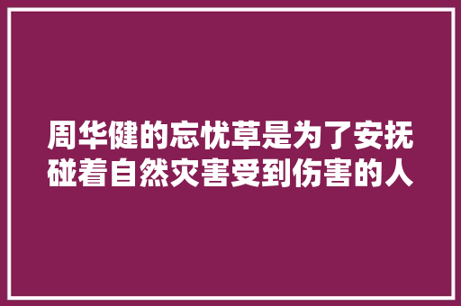 周华健的忘忧草是为了安抚碰着自然灾害受到伤害的人们而作