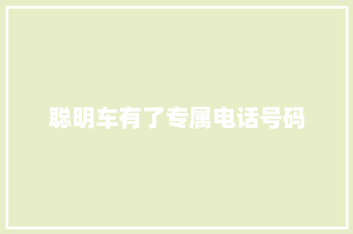 聪明车有了专属电话号码