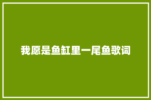 我愿是鱼缸里一尾鱼歌词