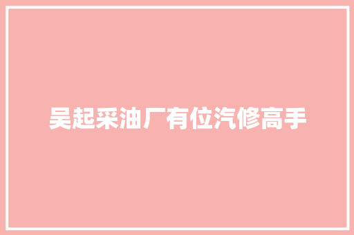 吴起采油厂有位汽修高手