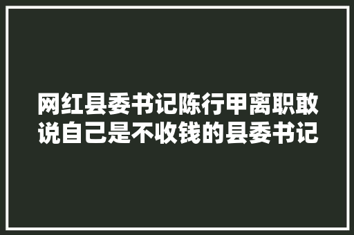 网红县委书记陈行甲离职敢说自己是不收钱的县委书记