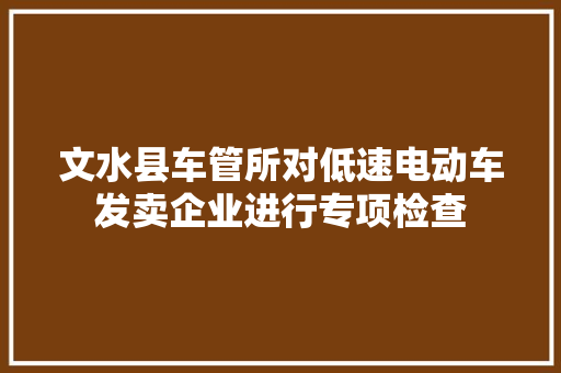 文水县车管所对低速电动车发卖企业进行专项检查