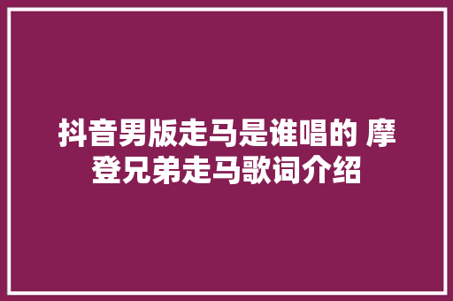 抖音男版走马是谁唱的 摩登兄弟走马歌词介绍